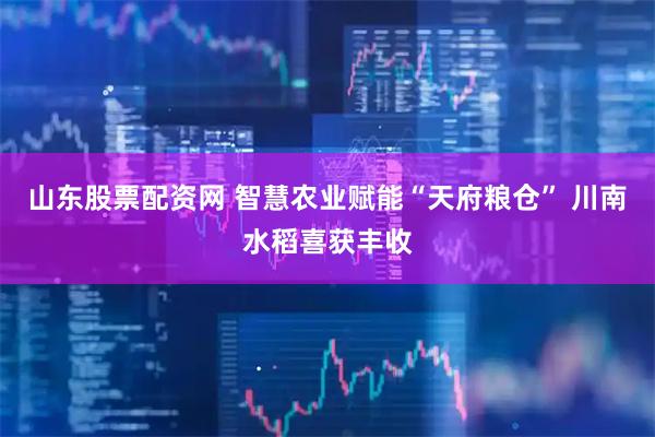 山东股票配资网 智慧农业赋能“天府粮仓” 川南水稻喜获丰收