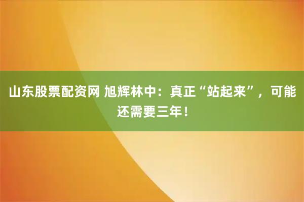 山东股票配资网 旭辉林中：真正“站起来”，可能还需要三年！
