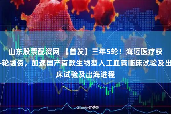 山东股票配资网 【首发】三年5轮！海迈医疗获亿元A+轮融资，加速国产首款生物型人工血管临床试验及出海进程