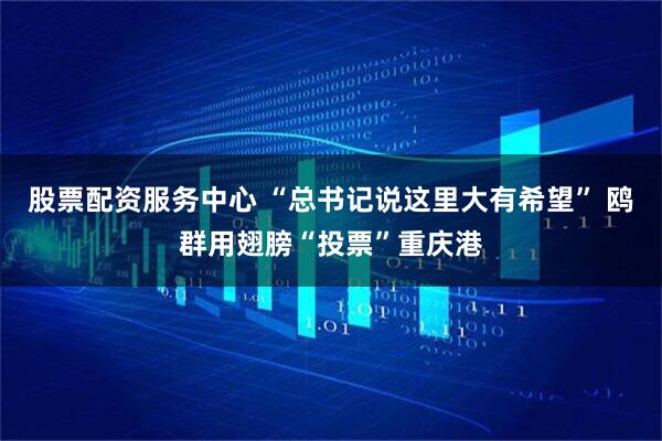 股票配资服务中心 “总书记说这里大有希望” 鸥群用翅膀“投票”重庆港