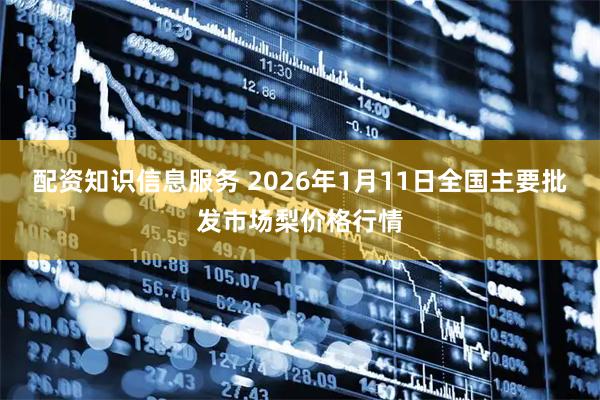 配资知识信息服务 2026年1月11日全国主要批发市场梨价格行情